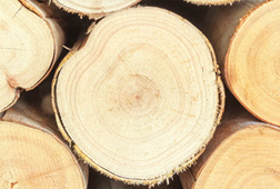 Legno certificato